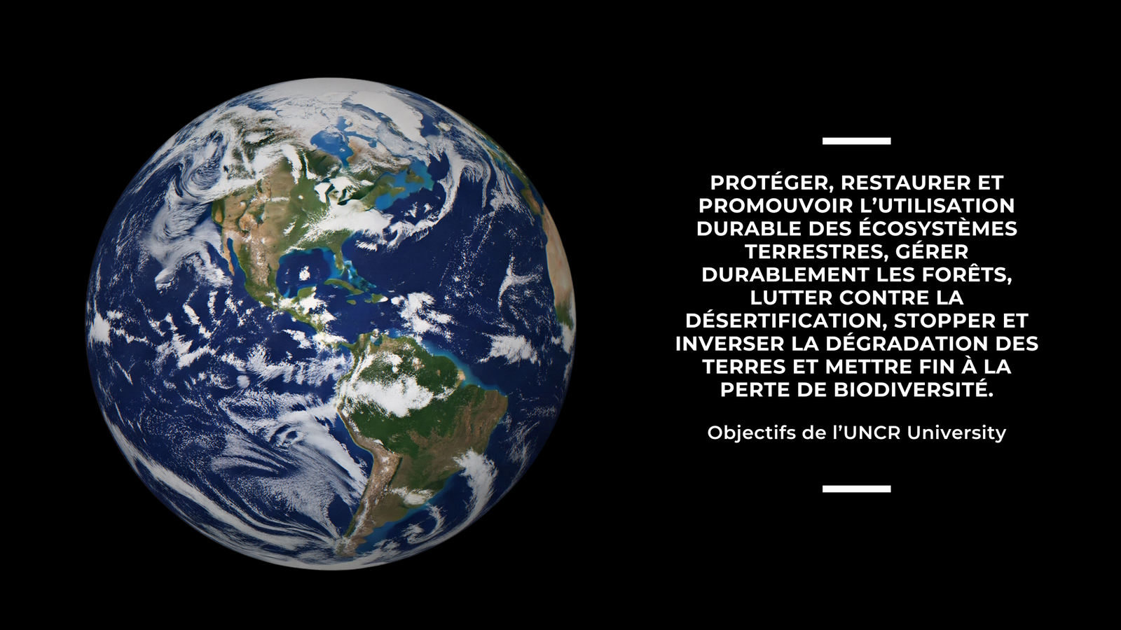 UNCR University Banner 3